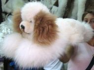 Cuddly Dog Stuffed Animal Made Of Real Alpaca Fur