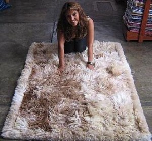 Peruvian Surialpaka fur rug, long hair