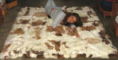 White, brown baby alpaca fur rug from Peru